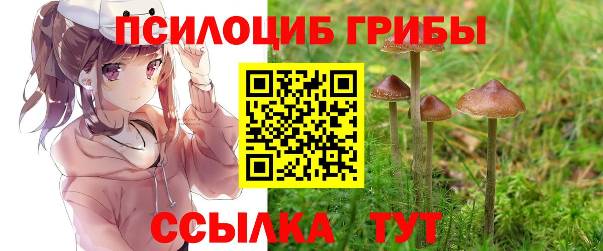 Псилоцибиновые грибы Cubensis Россошь